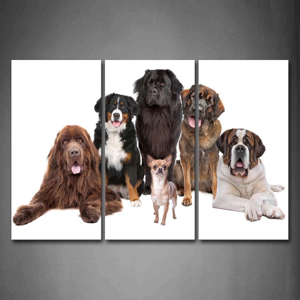 Different Dogs Siting White Background Wall Art Painting The Picture Print On Canvas Animal Pictures For Home Decor Decoration Gift 