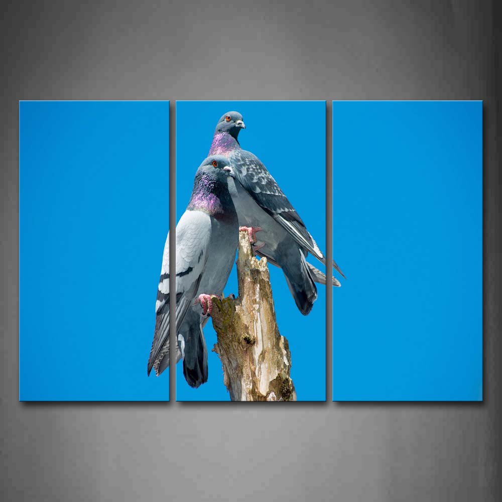 Blue Two Pigeons Stand On Dry Wood Wall Art Painting Pictures Print On Canvas Animal The Picture For Home Modern Decoration 