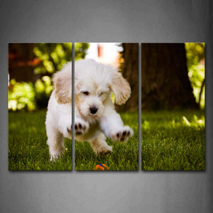 White Dog Play On Lawn  Wall Art Painting Pictures Print On Canvas Animal The Picture For Home Modern Decoration 