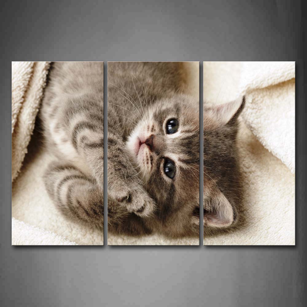 Cat With Black Eye Lying Down Cloth Wall Art Painting The Picture Print On Canvas Animal Pictures For Home Decor Decoration Gift 