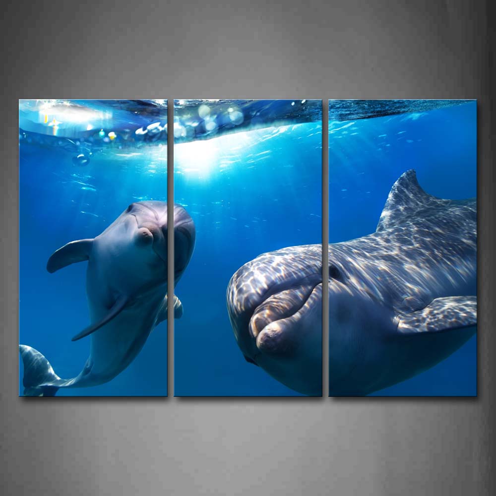 Two Dolphins In Blue Sea Wall Art Painting Pictures Print On Canvas Animal The Picture For Home Modern Decoration 