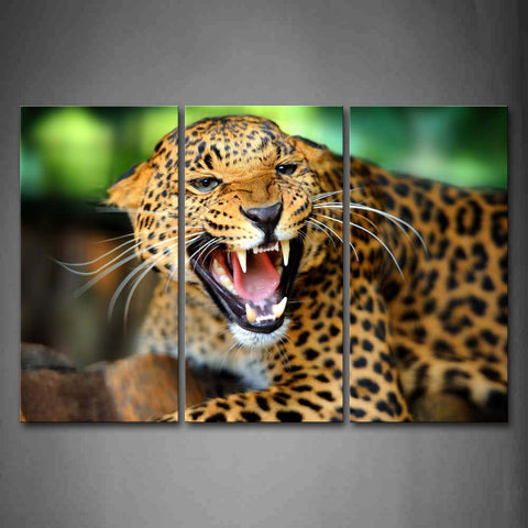 Jaguar Bend Over Close -Up Wall Art Painting The Picture Print On Canvas Animal Pictures For Home Decor Decoration Gift 