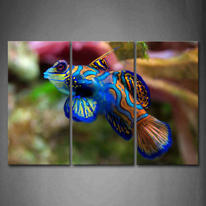 Colorful Fish Wall Art Painting Pictures Print On Canvas Animal The Picture For Home Modern Decoration 