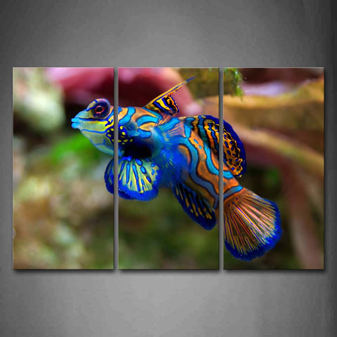 Colorful Fish Wall Art Painting Pictures Print On Canvas Animal The Picture For Home Modern Decoration 