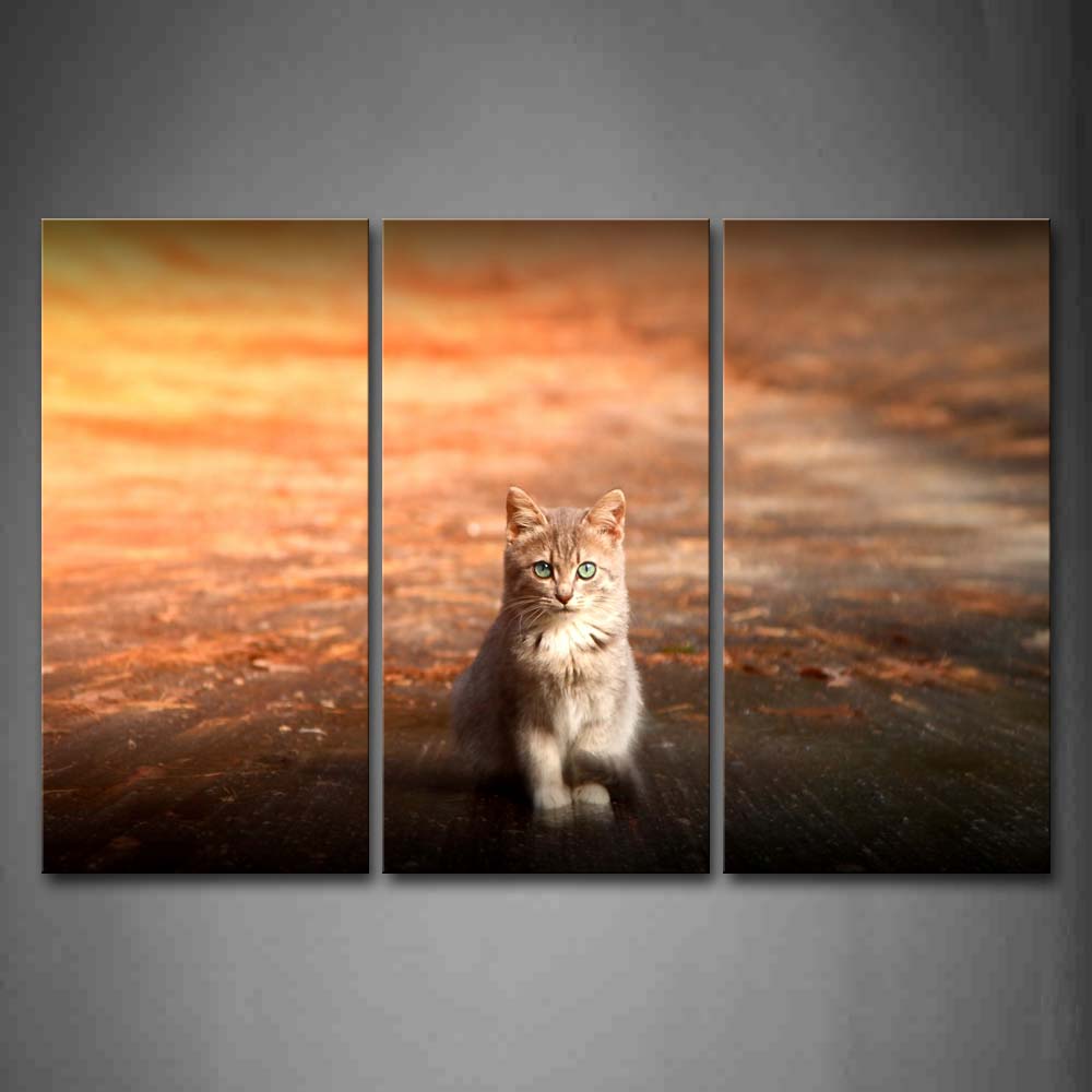 Cat Sit On Orange Land Wall Art Painting Pictures Print On Canvas Animal The Picture For Home Modern Decoration 