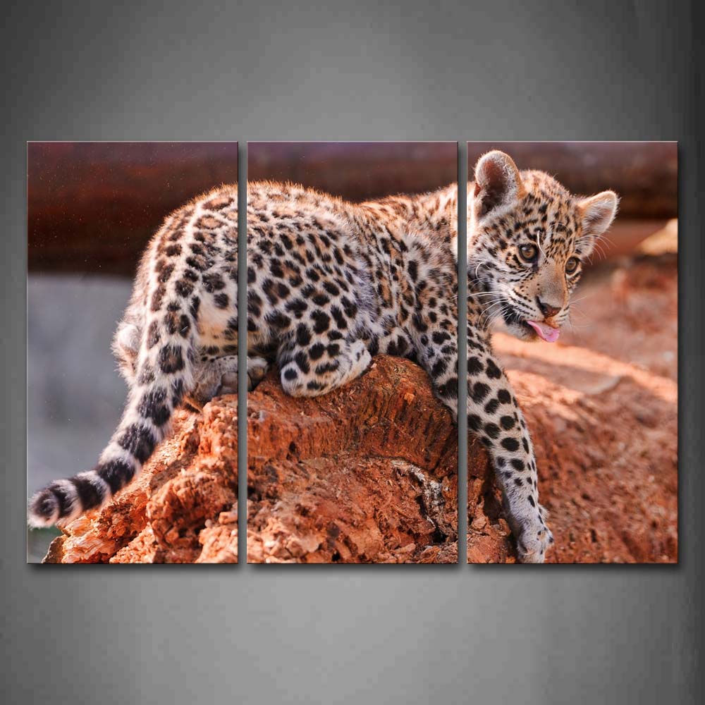 Baby Jaguar Bend Over On Rock Wall Art Painting The Picture Print On Canvas Animal Pictures For Home Decor Decoration Gift 