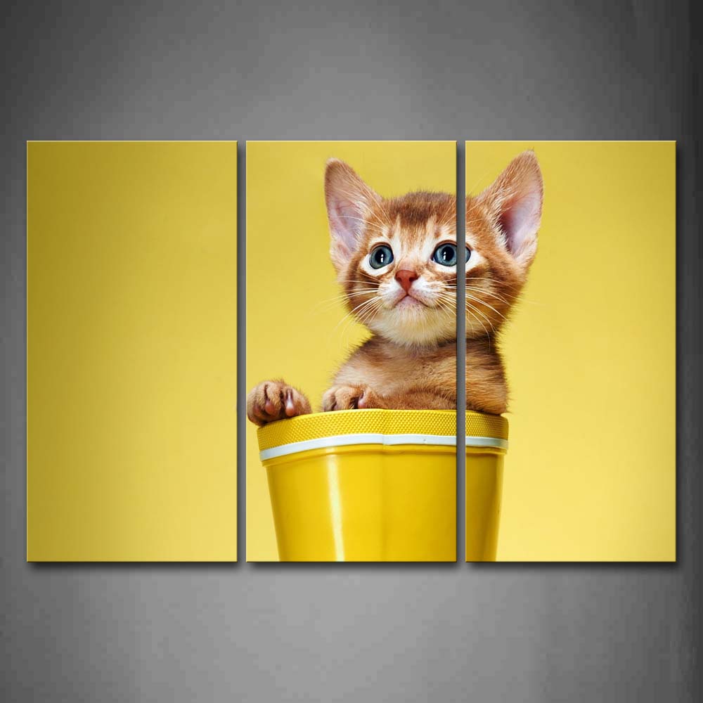 Yellow Cat In Glass Wall Art Painting The Picture Print On Canvas Animal Pictures For Home Decor Decoration Gift 