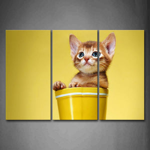 Yellow Cat In Glass Wall Art Painting The Picture Print On Canvas Animal Pictures For Home Decor Decoration Gift 