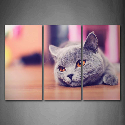 Gray Cat Bend Over Land Wall Art Painting The Picture Print On Canvas Animal Pictures For Home Decor Decoration Gift 