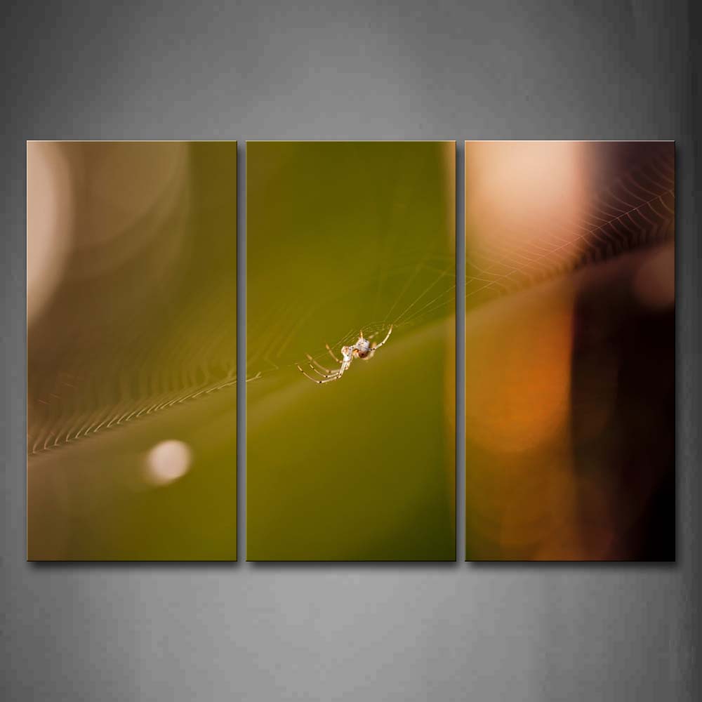 Spider And Spider Web  Wall Art Painting The Picture Print On Canvas Animal Pictures For Home Decor Decoration Gift 