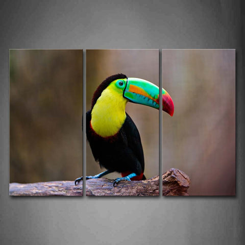 Colorful Toucan Stand On Wood Wall Art Painting Pictures Print On Canvas Animal The Picture For Home Modern Decoration 