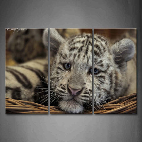 White Tiger In Basket Wall Art Painting The Picture Print On Canvas Animal Pictures For Home Decor Decoration Gift 