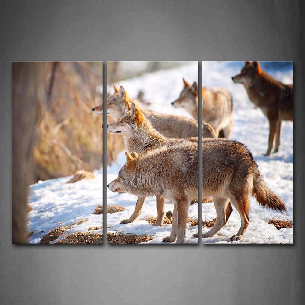 Group Of Wolf Stand On Snowfield Wall Art Painting Pictures Print On Canvas Animal The Picture For Home Modern Decoration 