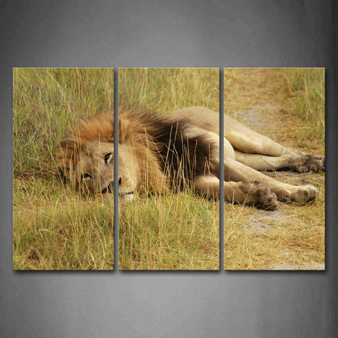 Lion Lie In Grass Small Path Wall Art Painting The Picture Print On Canvas Animal Pictures For Home Decor Decoration Gift 