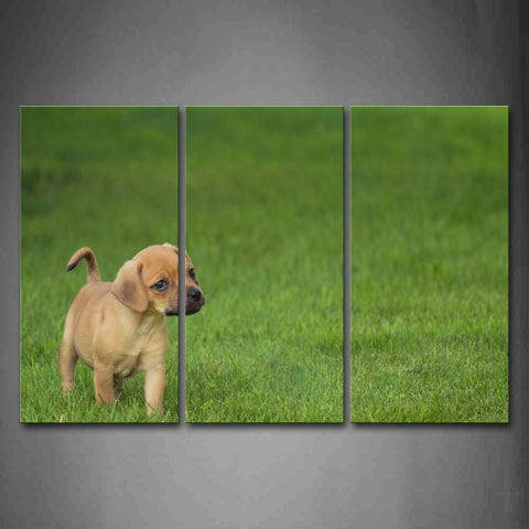 Puppy Stand On Grassland Wall Art Painting Pictures Print On Canvas Animal The Picture For Home Modern Decoration 