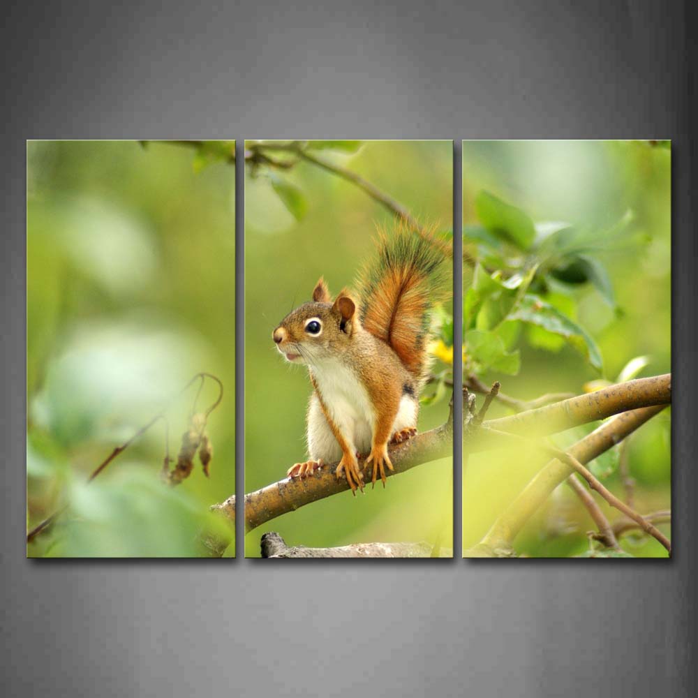 Squirrel Stand On Branch Wall Art Painting Pictures Print On Canvas Animal The Picture For Home Modern Decoration 