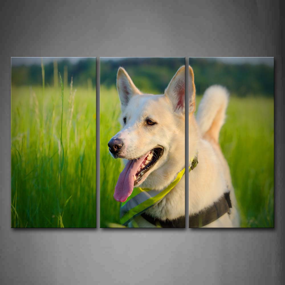 White Dog In Green Grass Wall Art Painting Pictures Print On Canvas Animal The Picture For Home Modern Decoration 