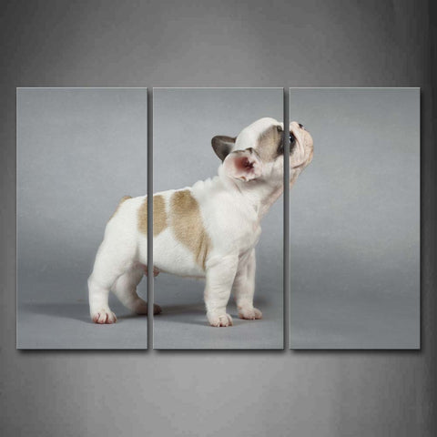 White And Yellow Puppy Stand Gray Background Wall Art Painting Pictures Print On Canvas Animal The Picture For Home Modern Decoration 