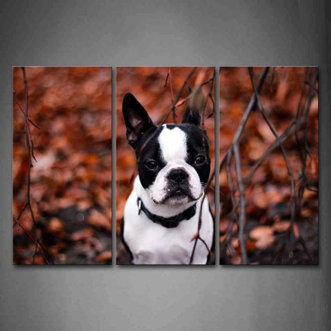 French White And Black Bulldog With Falls Leaf Wall Art Painting The Picture Print On Canvas Animal Pictures For Home Decor Decoration Gift 