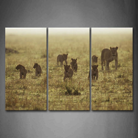 Lions Cub Crowd Walking In The Grass Wall Art Painting Pictures Print On Canvas Animal The Picture For Home Modern Decoration 