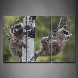 Two Raccoons Climb On Tree Wall Art Painting The Picture Print On Canvas Animal Pictures For Home Decor Decoration Gift 