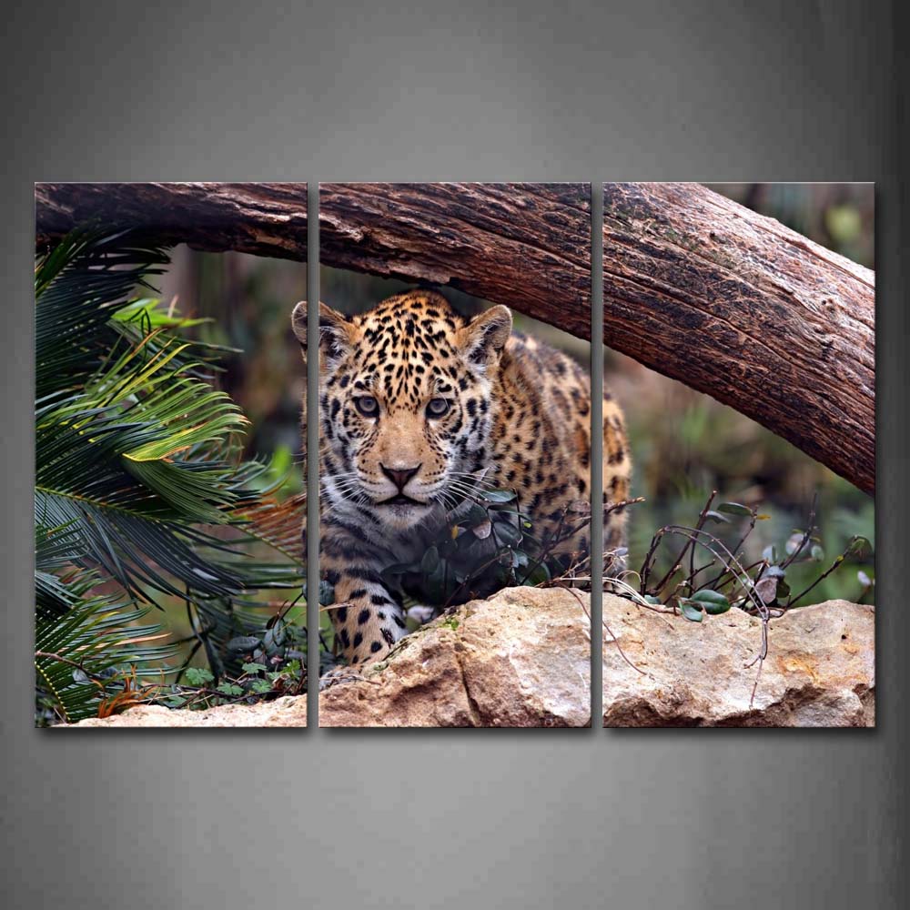 Leopard Walk Under Wood Stone Plant Wall Art Painting Pictures Print On Canvas Animal The Picture For Home Modern Decoration 