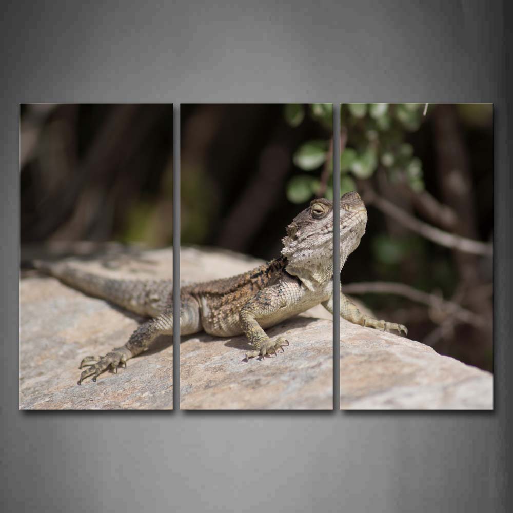 Lizard Crawl On Big Stone  Wall Art Painting Pictures Print On Canvas Animal The Picture For Home Modern Decoration 