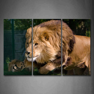 Lion Jump  Wall Art Painting Pictures Print On Canvas Animal The Picture For Home Modern Decoration 