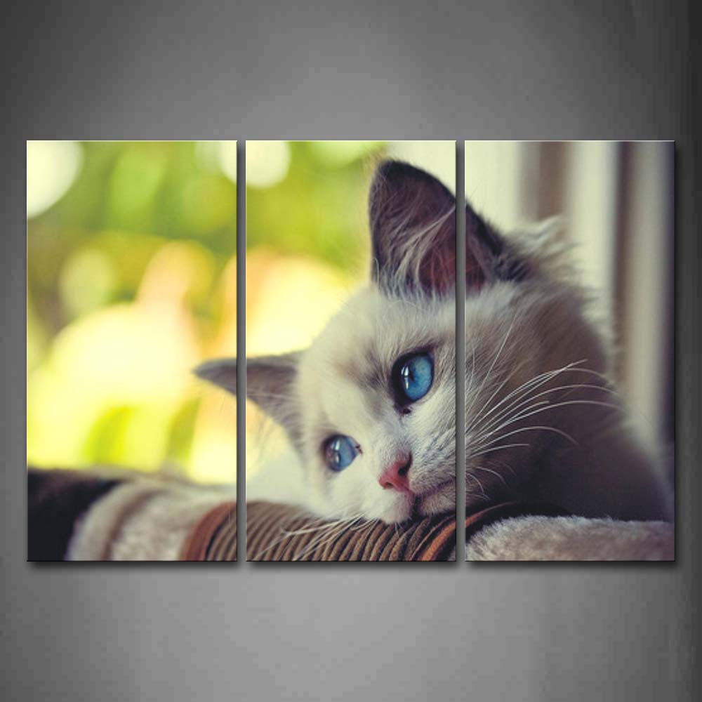 White Cat Bend Over Blanket Wall Art Painting The Picture Print On Canvas Animal Pictures For Home Decor Decoration Gift 