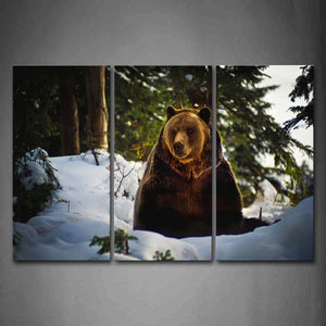 Bear Sit On Snowfield Trees Wall Art Painting Pictures Print On Canvas Animal The Picture For Home Modern Decoration 