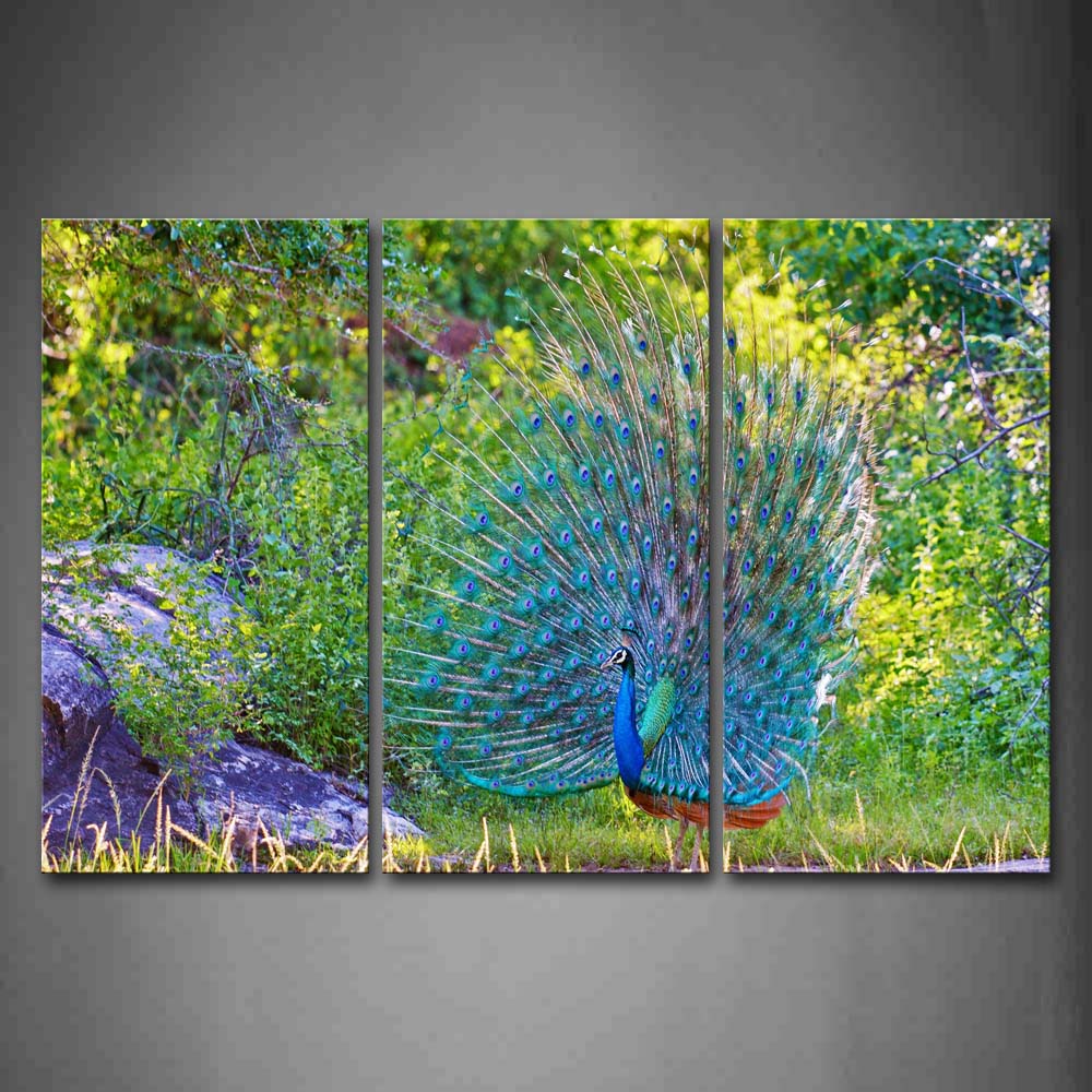 Peacock Stand On Land Plant Beautiful Feather Wall Art Painting The Picture Print On Canvas Animal Pictures For Home Decor Decoration Gift 