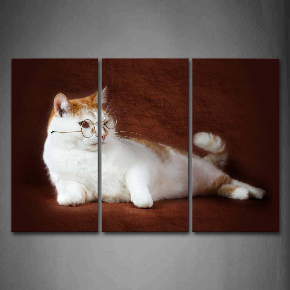 White And Yellow Cat Wear A Glass In Brown Background Wall Art Painting Pictures Print On Canvas Animal The Picture For Home Modern Decoration 