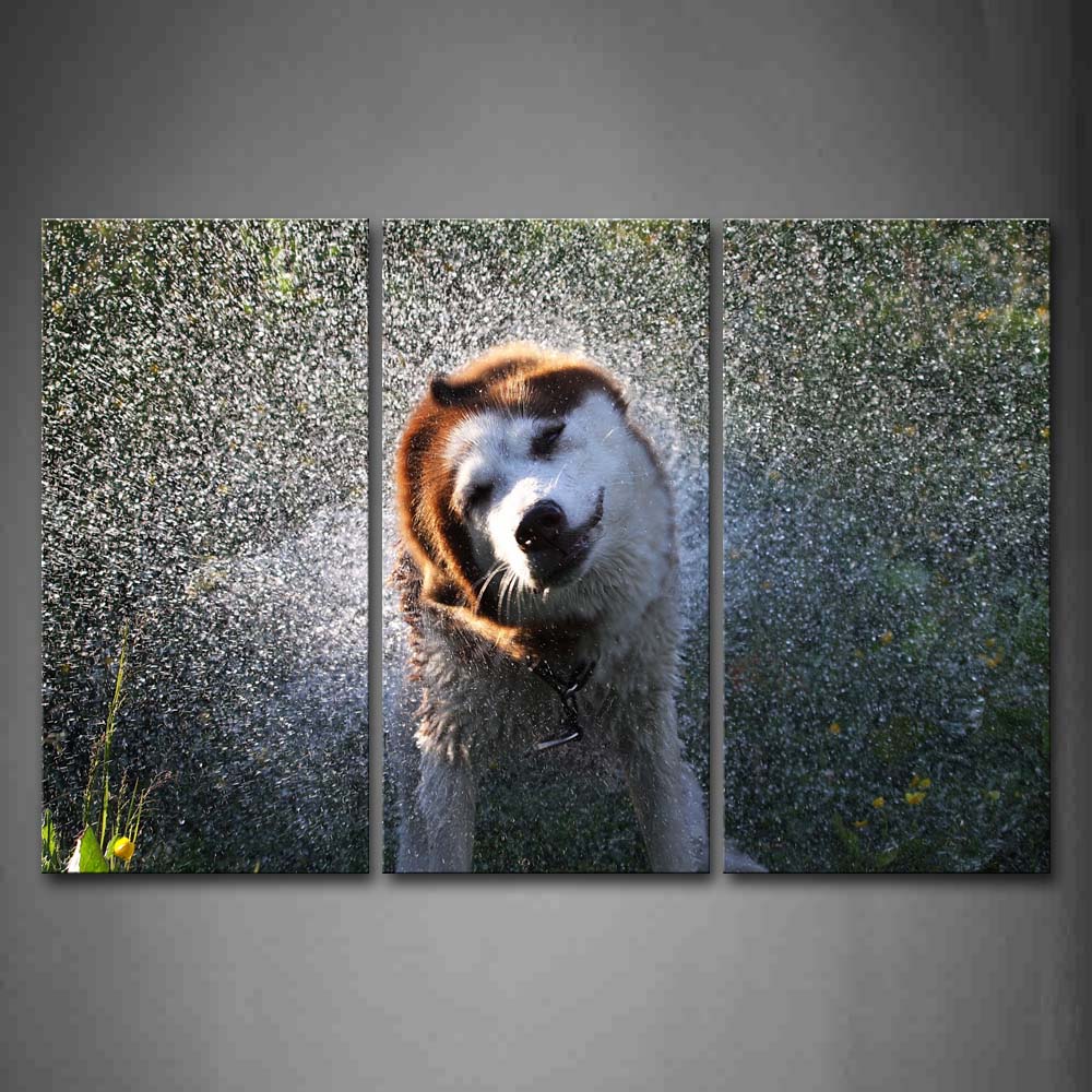 Dog Throw Away Its Body Water Wall Art Painting Pictures Print On Canvas Animal The Picture For Home Modern Decoration 