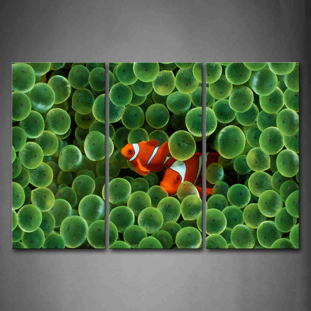 White And Orange Fish With Green Roes Wall Art Painting The Picture Print On Canvas Animal Pictures For Home Decor Decoration Gift 