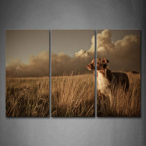 Dog In The Grass Staring With Cloud Wall Art Painting Pictures Print On Canvas Animal The Picture For Home Modern Decoration 