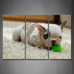 Puppy Bite A Green Ball And Sit On Carpet Wall Art Painting The Picture Print On Canvas Animal Pictures For Home Decor Decoration Gift 