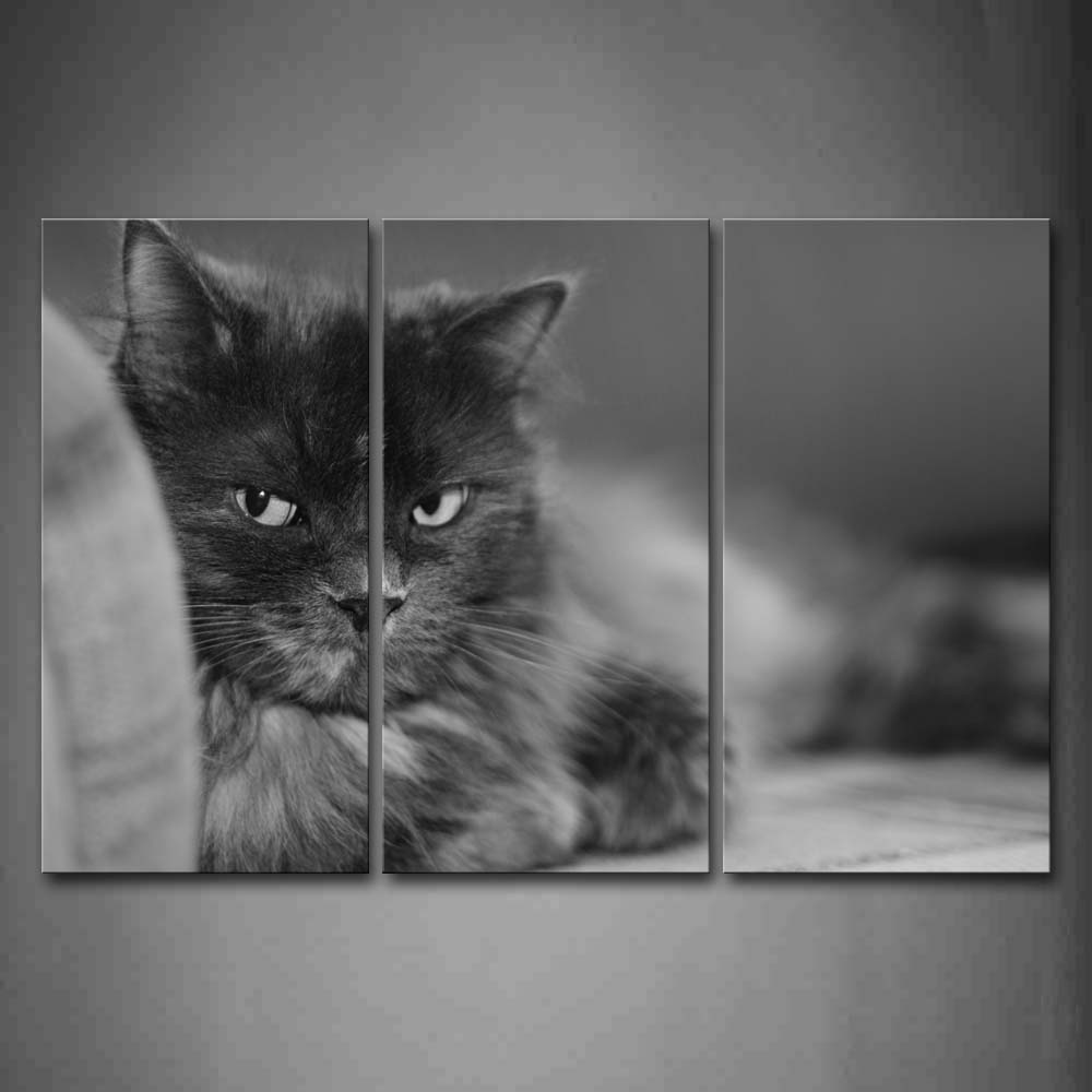 Black And White Black Cat Stare Front  Wall Art Painting Pictures Print On Canvas Animal The Picture For Home Modern Decoration 