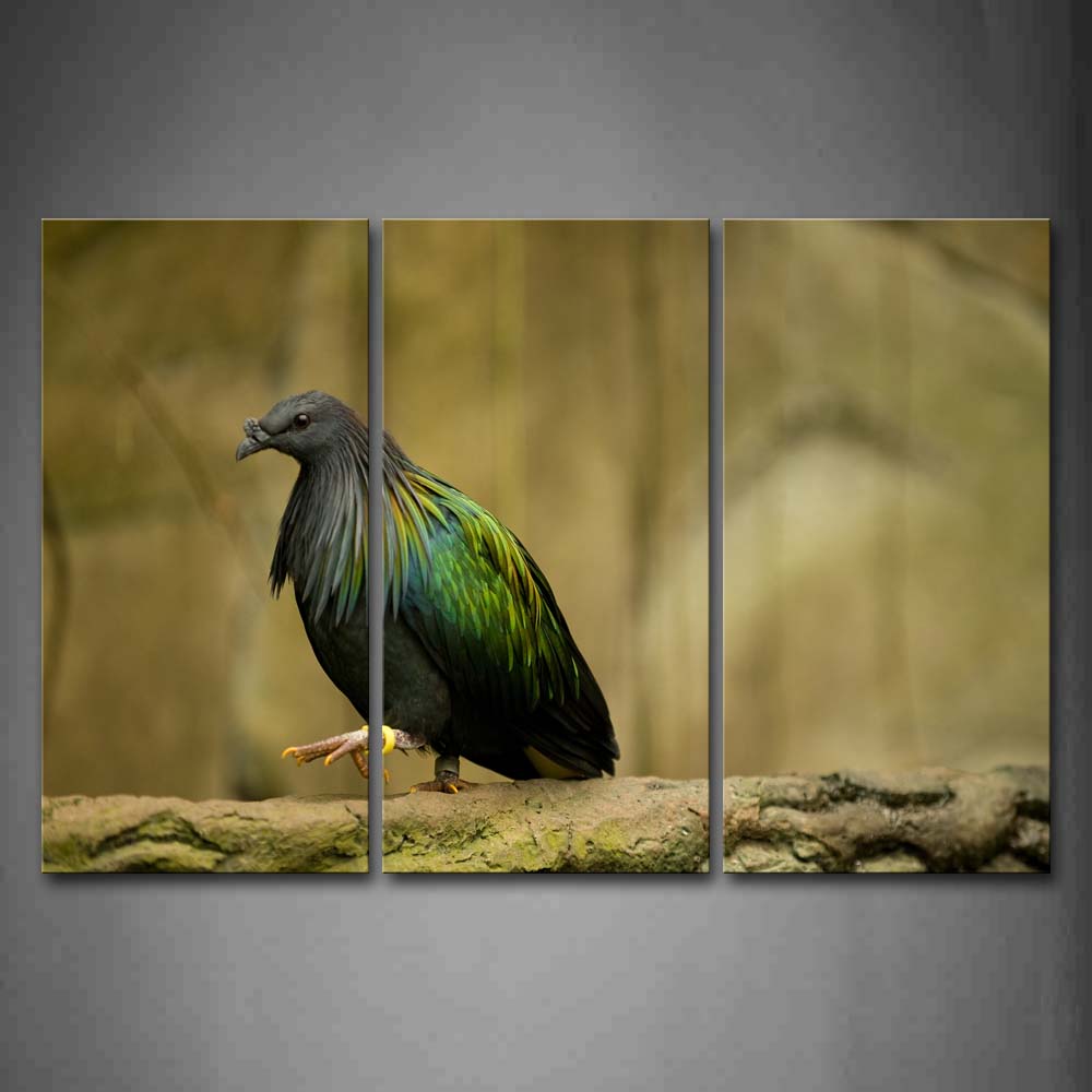 Colorful Bird Is Walking Wall Art Painting The Picture Print On Canvas Animal Pictures For Home Decor Decoration Gift 