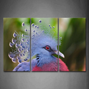 Beautiful Pigeon'S Head  Wall Art Painting Pictures Print On Canvas Animal The Picture For Home Modern Decoration 