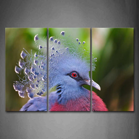 Beautiful Pigeon'S Head  Wall Art Painting Pictures Print On Canvas Animal The Picture For Home Modern Decoration 