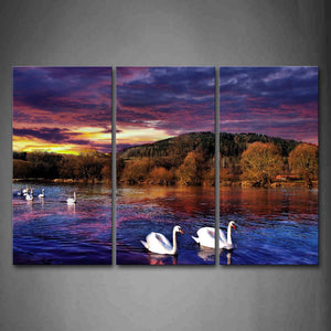 Group Of Swan Swimming On Lake  Tree Hill At Dusk Wall Art Painting The Picture Print On Canvas Animal Pictures For Home Decor Decoration Gift 