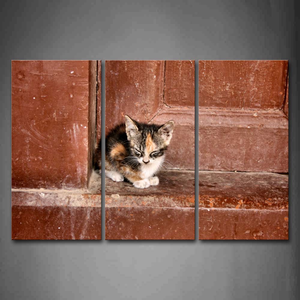 Cat Sit At Doorway Wall Art Painting Pictures Print On Canvas Animal The Picture For Home Modern Decoration 