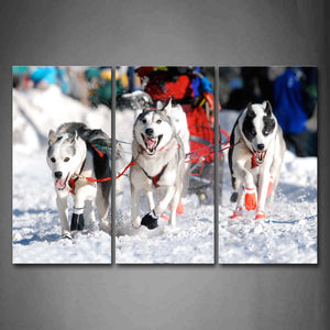 Group Of Husky Drag A People Wall Art Painting The Picture Print On Canvas Animal Pictures For Home Decor Decoration Gift 