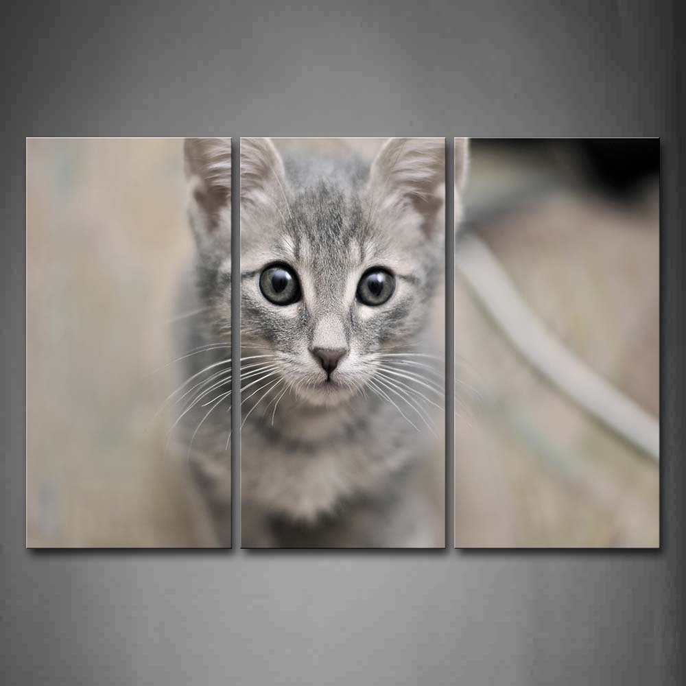 Lovely Cat With White Beard Staring Wall Art Painting The Picture Print On Canvas Animal Pictures For Home Decor Decoration Gift 