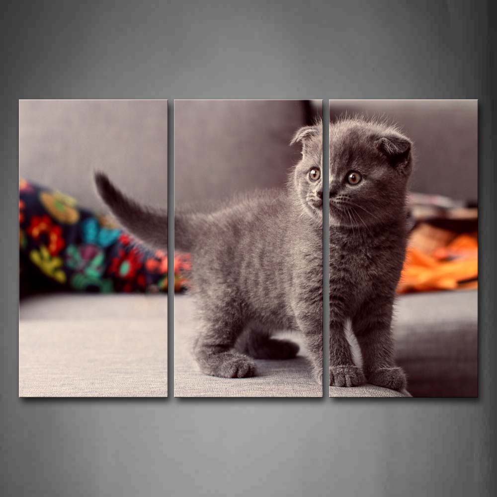 Gray Cat Stand On Sofa Wall Art Painting The Picture Print On Canvas Animal Pictures For Home Decor Decoration Gift 