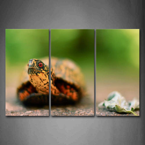 Turtle Only Stretch Head On Land Wall Art Painting Pictures Print On Canvas Animal The Picture For Home Modern Decoration 