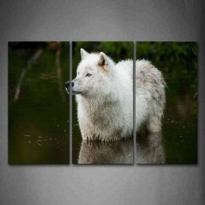 White Wolf In Water Wall Art Painting The Picture Print On Canvas Animal Pictures For Home Decor Decoration Gift 