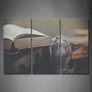 Cat Raise Head To Smell A Old Book Wall Art Painting Pictures Print On Canvas Animal The Picture For Home Modern Decoration 