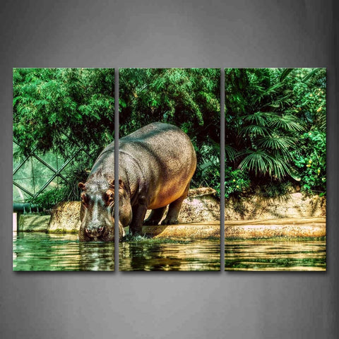 Hippo Stand River Bank And To Drink Water Tree Wall Art Painting The Picture Print On Canvas Animal Pictures For Home Decor Decoration Gift 