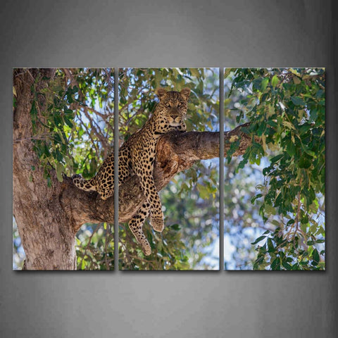 A Leopard Sit At Big Tree Wall Art Painting The Picture Print On Canvas Animal Pictures For Home Decor Decoration Gift 